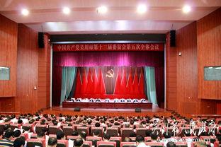 吴川市今日爆料会议视频,聚焦热点问题，共商发展大计