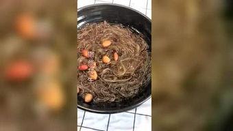 酸辣粉八卦爆料视频,八卦视频曝光惊人内幕