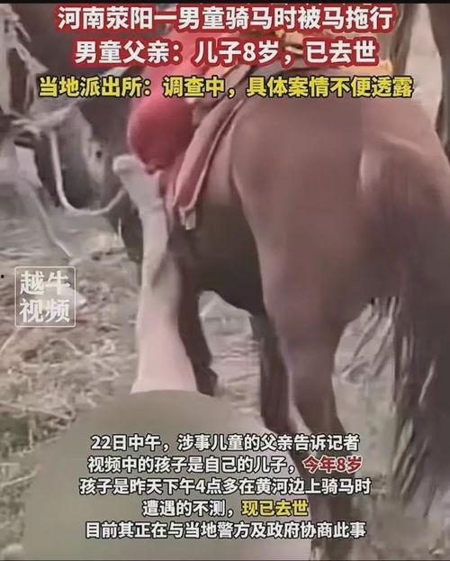 永康爆料牛夫人被打视频,牛夫人被打视频引发热议