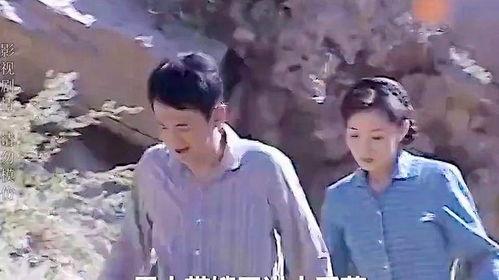 电视剧上门女婿全集在线观看,逆袭之路，爱情与奋斗的交响曲