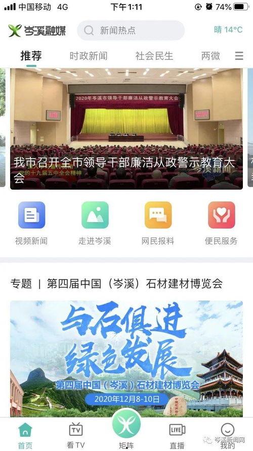 岑溪新闻爆料最新消息,最新爆料揭示惊人真相！
