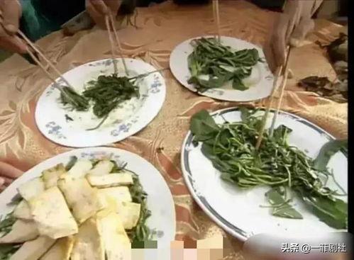 哈尔滨新瓜最新爆料,揭秘背后惊人真相！