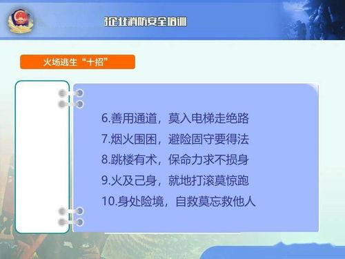 网友爆料教程视频下载,网友爆料实用技巧大公开