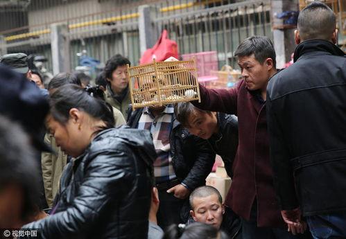 西安集市爆料事件视频播放