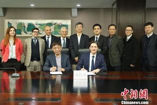 浦东金桥新闻爆料,聚焦发展新篇章