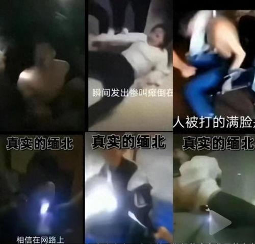 女子爆料被骗视频播放网站,揭秘视频播放网站背后的陷阱