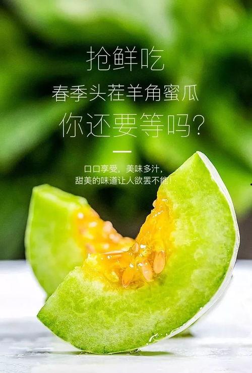 网红吃瓜照片全集,揭秘娱乐圈幕后故事