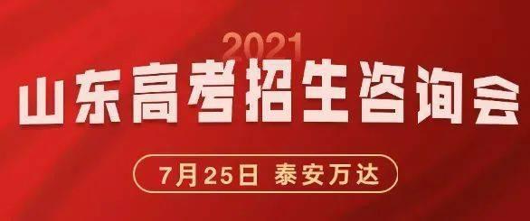 高招爆料最新,政策调整与热门专业解析