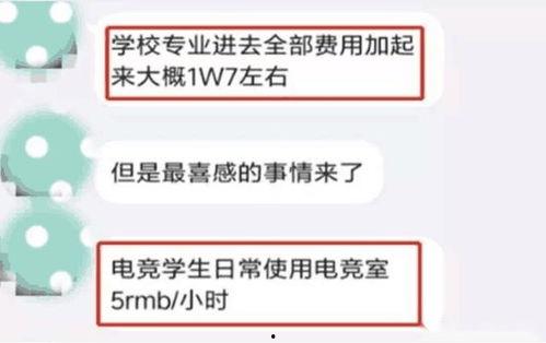 高招爆料最新,政策调整与热门专业解析