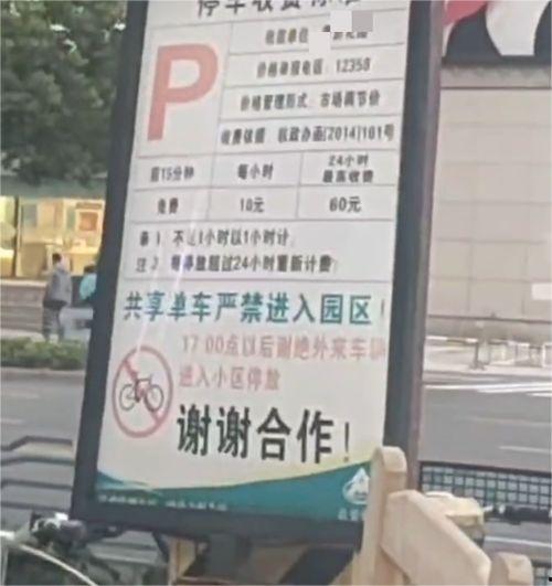 停车场最新爆料视频下载,视频曝光惊人内幕