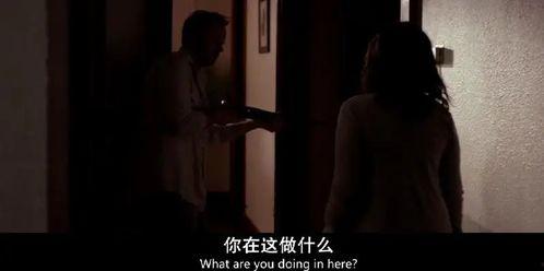 性关系的视频在线观看,精选视频内容概览