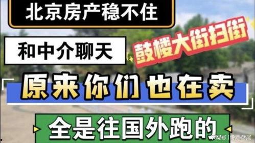 爆料房产视频粤语,粤语房产视频揭秘楼市真相