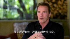 阿诺被爆料最新视频,揭秘背后惊人真相