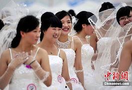 张家口新娘爆料新闻报道,揭秘婚礼现场惊人内幕