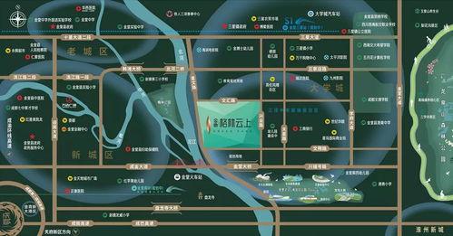 金堂今日爆料,揭秘当地热点事件背后的真相