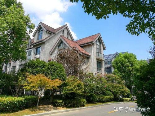 苏州市新闻爆料热线,见证城市脉搏，倾听民声心声