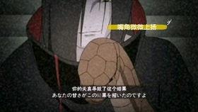 最新爆料蛇叔是谁啊视频,最新爆料，蛇叔身份大揭秘！