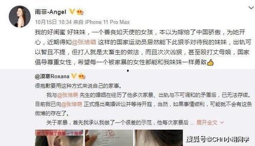 王四老婆被爆料视频大全,真相与争议全解析