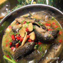 冷水鱼爆料美食视频大全,美食视频大全，尽享味蕾盛宴