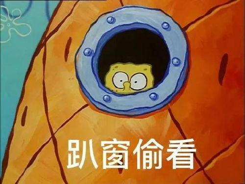 派大星娱乐爆料视频下载,热门视频下载攻略大公开