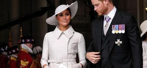 哈里夫妇爆料视频,揭秘幕后黑幕与真实心声