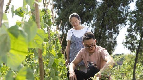 川乡小妹爆料视频最新,揭秘视频背后的惊人真相！