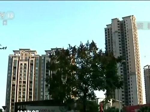 惠州楼盘爆料事件最新,揭露背后惊人真相，购房者权益如何保障？