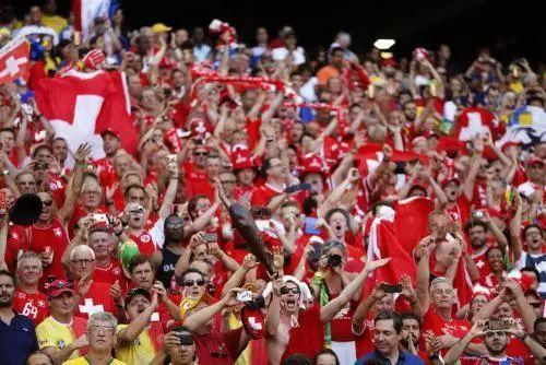 世界杯球迷趣事爆料最新,球迷趣事盘点，笑料百出！