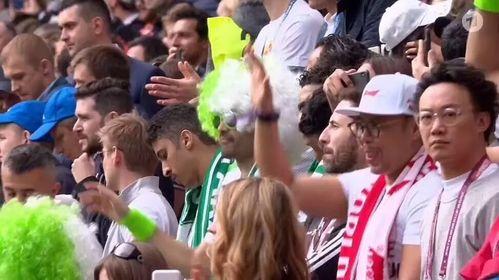 世界杯球迷趣事爆料最新,球迷趣事盘点，笑料百出！