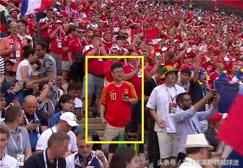 世界杯球迷趣事爆料最新,球迷趣事盘点，笑料百出！