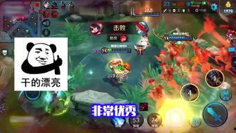 酋长王者爆料视频下载,揭秘游戏幕后制作与精彩瞬间