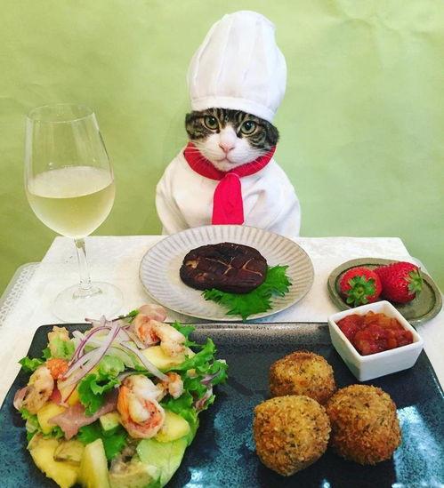 一名吃瓜的路人小说免费阅读,揭秘路人小说背后的秘密世界