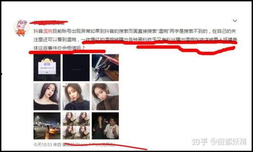 明星合集吃瓜视频下载免费,免费下载，揭秘娱乐圈幕后故事