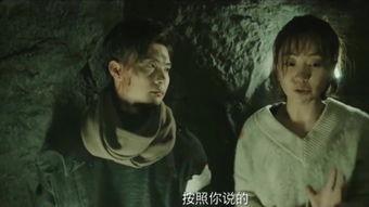 追随 在线观看免费,尽享免费观影盛宴