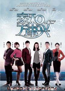 电视剧家在线观看,穿越时空的亲情之旅