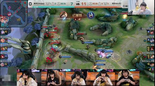 长城守卫军爆料视频播放,揭秘神秘爆料视频背后的真相