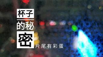 无锡饭店爆料视频最新,揭秘后厨卫生与食品安全问题