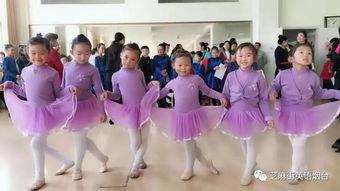 老师爆料撒花视频播放,老师爆料背后的感人故事