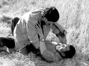 红色康拜因在线观看,在线重温革命史诗的激情岁月