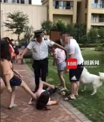 网友爆料遛狗视频大全,遛狗视频大全，萌宠瞬间萌化人心