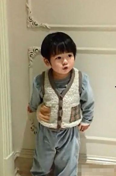 张庭被儿子爆料视频播放,揭秘娱乐圈背后真相