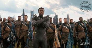 影豹爆料视频大全集,揭秘幕后精彩瞬间