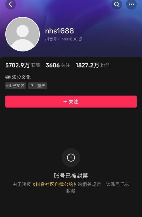 倪海杉被爆料过吗视频