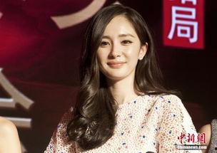 杨幂陈学冬最新爆料视频,揭秘娱乐圈不为人知的秘密