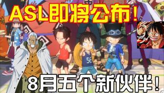 娜美海贼王爆料视频,新篇章即将开启，神秘事件引关注