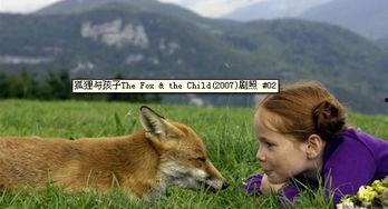 小狐狸娱乐爆料是真的吗,真相揭秘，是真是假？