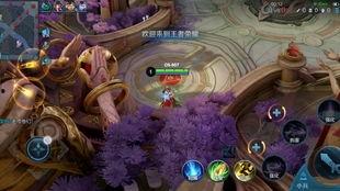 柴郡猫郡主b站爆料视频