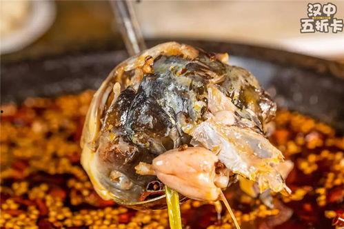 美蛙鱼头爆料怎么做的视频,跟随美蛙鱼头爆料视频学做美味佳肴