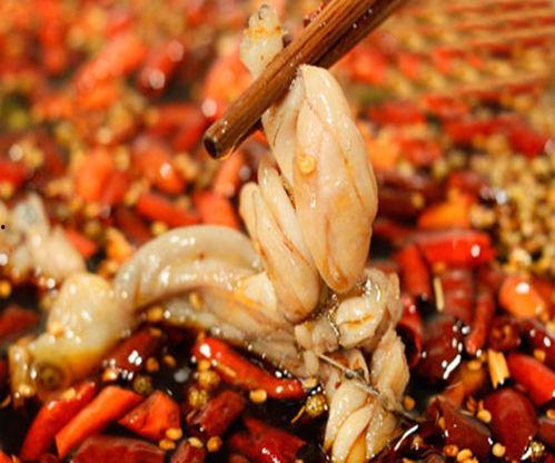 美蛙鱼头爆料怎么做的视频,跟随美蛙鱼头爆料视频学做美味佳肴