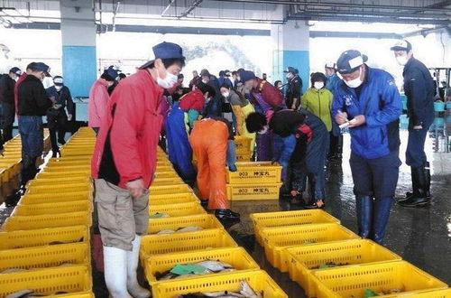 东京新闻爆料福岛,东京新闻揭露惊人内幕”